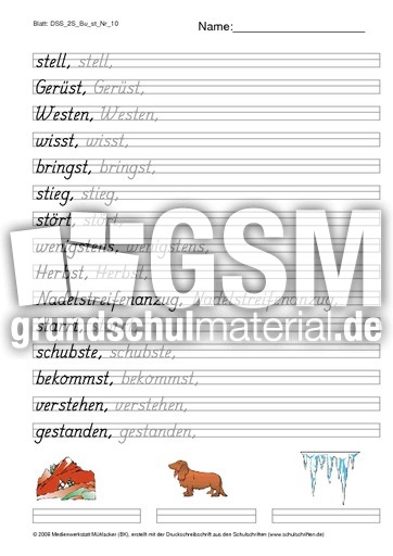 DSS_2S_Bu_st_Nr_10.pdf